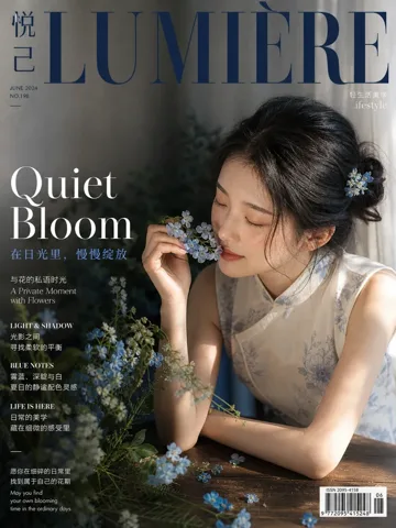 窗边暖斑·蓝花淡妆·静谧人像参考样片